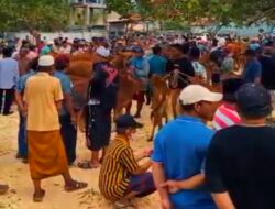 Pasar Ternak Baru Desa Tlagah, Buka Peluang Ekonomi bagi Peternak Lokal